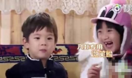 网红八卦爆料吃瓜,八卦爆料，吃瓜群众狂欢时刻